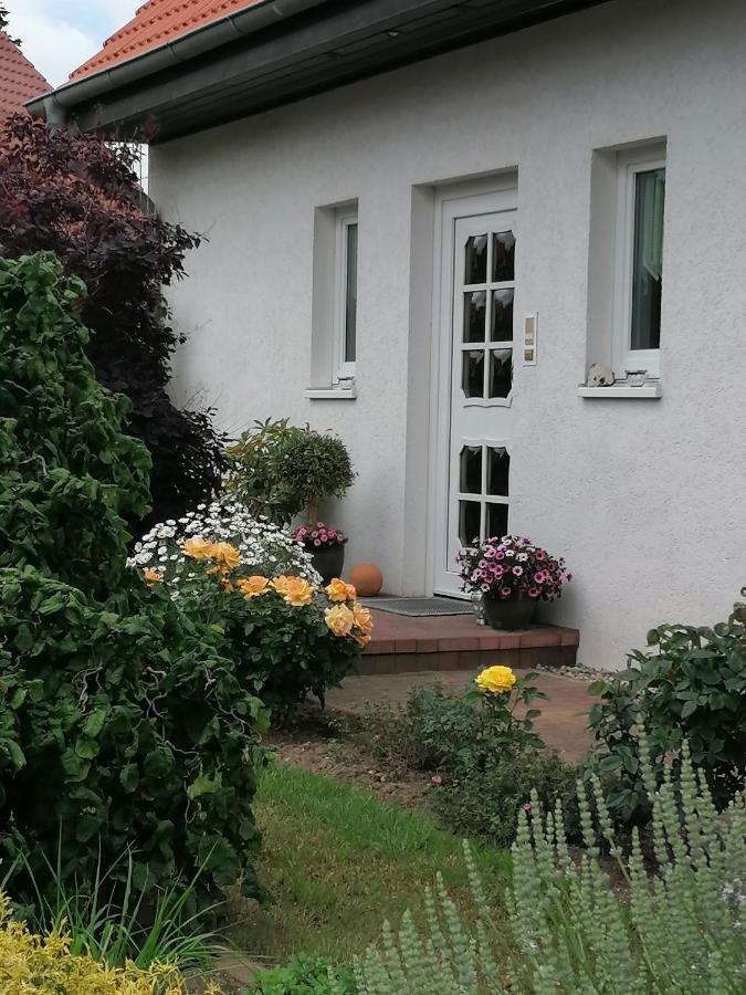 Appartement Fam. M.Lehmann Heringsdorf  Eksteriør bilde